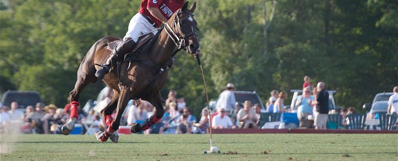 Ginger Galloping Down Field During the Newport International Polo Series