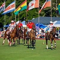 Polo Action During the 4th Annual All Charity Day